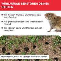 SWISSINNO Vole Trap PRO SuperCat Capcană pentru șoareci de câmp și cârtițe cu kit de accesorii - Capcană eficientă împotriva șoarecilor de câmp și a cârtițelor comune, declanșator patentat, sigură, reutilizabilă, 1 buc. capcană + 1 buc. kit 2
