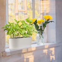 SYITCUN 5 db 22 cm-es fehér műanyag virágcserép szögletes konyha balkon ablakpárkány 5