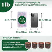 T4U Dekoratív Kövek 450g - Polírozott Vegyes Színű Kavics Szukkulentához, Akvárium és Kerthez 6