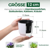 T4U Önöntöző Virágcserép Kanóccal, Műanyag, 6 Darabos Szett 3