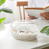 T4U Tumbled Chips Kvarckavics 450g Fehér Polírozott Kövek Szukkulens Terrarium Dekoráció 3