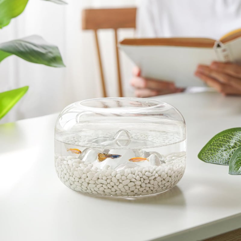 T4U Tumbled Chips Kvarckavics 450g Fehér Polírozott Kövek Szukkulens Terrarium Dekoráció