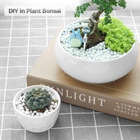 T4U Tumbled Chips Kvarckavics 450g Fehér Polírozott Kövek Szukkulens Terrarium Dekoráció 8