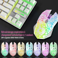 Set Tastatură și Mouse Gaming ZIYOU LANG T87 – 87 Taste, Iluminare RGB, Wireless 2.4G, Reîncărcabil + Mouse 2400 DPI, 6 Butoane 8