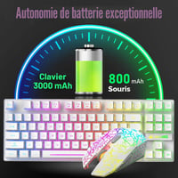 Set Tastatură și Mouse Gaming ZIYOU LANG T87 – 87 Taste, Iluminare RGB, Wireless 2.4G, Reîncărcabil + Mouse 2400 DPI, 6 Butoane 10