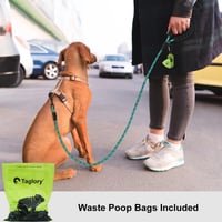 Taglory kutyapóráz 180cm puha nylon reflexcsíkkal közepes kutyáknak türkiz 2