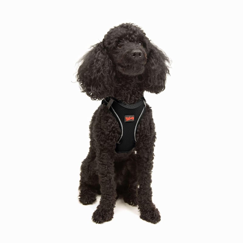 Ham Tailpetz Air Mesh pentru pisici și câini de talie mică și medie - Moale, respirabil, negru, mărimea XS (circumferința pieptului 35,5-40,5 cm)