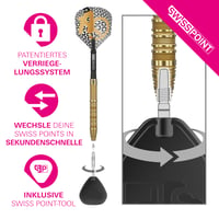Target Darts Bolide Envy 01 90% Volfrámové šípky s oceľovými hrotmi Swiss Point 25g | Pro Ultra Nr. 6 letky a Pro Grip EVO násadky, zlaté hroty Swiss Points a nástroj SP Tool 3