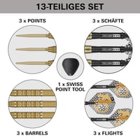 Target Darts Bolide Envy 01 90% Volfrámové šípky s oceľovými hrotmi Swiss Point 25g | Pro Ultra Nr. 6 letky a Pro Grip EVO násadky, zlaté hroty Swiss Points a nástroj SP Tool 4