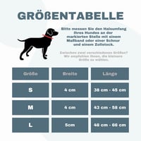 teamwalk Prémium Kutyanyakörv Mágneses Fogantyúval, LED Csíkokkal és AirTag Zsebbel M 4