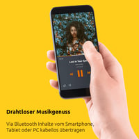 Internetové rádio TechniSat DIGITRADIO 550 IR – DAB+, FM, WLAN, Bluetooth, 10 W 6