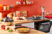 Súprava riadu Tefal Ingenio Emotion L897SJ04, 20-dielna – nehrdzavejúca oceľ, indukcia, odnímateľná rukoväť, vhodná do umývačky riadu, wok, panvica, pokrievka 3