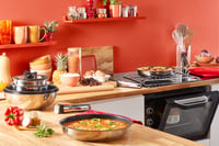 Tefal Ingenio Preference L9730602 Složiva tava od nehrđajućeg čelika 28 cm, indukcija, neprianjajući sloj, indikator temperature 7