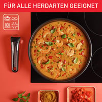 Sada panvíc Tefal Ingenio Preference On 24 a 28 cm s odnímateľnou rukoväťou, stohovateľné, indukčné, nepriľnavý povrch, 2 ks 7