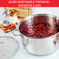 Tefal Intuition XL rozsdamentes acél fazék üvegfedővel, 36 cm, 17,5 L, indukciós főzőlaphoz, szegecses fogantyúkkal 4