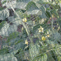 Plasă de protecție antigrindină TENAX Defender 6x10 m, verde, pentru protecția livezilor și plantațiilor, plasă țesută din plastic 2