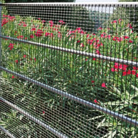 Tenax Quadra 10 Plastična zaštitna mreža antracit 1,00x50 m, četvrtasto pletivo za balkone, ograde i rukohvate 6