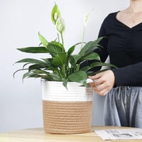 Tenn Well 20cm Virágcserép Betéttel, Pamut Beltéri Virágkaspó, Szövött Tárolókosár Szobanövényekhez 7