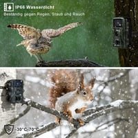 TESPHAN Vadkamera 48MP 4K Felbontással - Mozgásérzékelős Éjjellátó Kültéri Kamera 32GB Memóriakártyával, 20m Hatótávolság, IP66 Vízálló, Blu 3