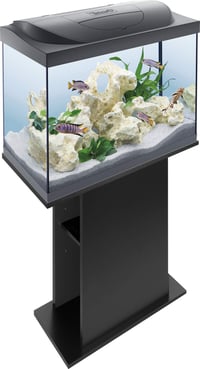 Suport pentru acvariu Tetra Aquarium Unterschrank - pentru acvarii Tetra Starter Line 54/80 L, negru 3