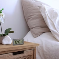 Digitálny rádiom riadený budík TFA Dostmann 60.2563 s 2 časmi budenia, víkendovým režimom, zobrazením dátumu a dňa v týždni, podsvietením, strieborný 3