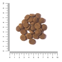 The Hunger of the Wolf száraz kutyatáp – Gabonamentes lazacos és burgonyás formula felnőtt és allergiás kutyáknak, minden fajtának – 14 kg 3