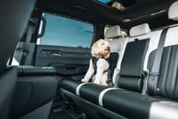 Ham auto pentru câini Thule Cappy - Negru, mărimea M 9