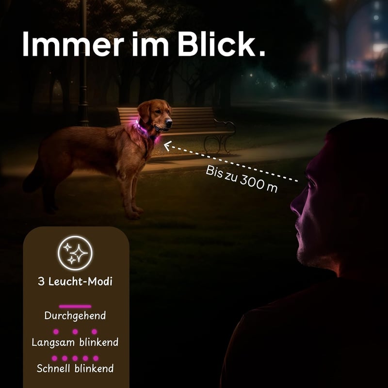 Tierhood LED kutya nyakörv M méret - USB töltős, vízálló, világító