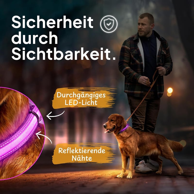 Tierhood LED kutya nyakörv M méret - USB töltős, vízálló, világító