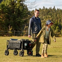TIMBER RIDGE XXL Összecsukható Kézikocsi 200L Széles Gumik Fékkel Strand Kocsi 100kg - Große Räder mit Bremse, Black 2