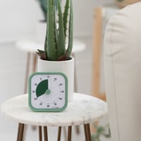 TIME TIMER Home MOD 60-minútový vizuálny časovač pre deti – Tichá prevádzka, papradinovo zelená, 8,8 x 8,8 x 5,2 cm – Školské učenie, kancelársky stôl 2