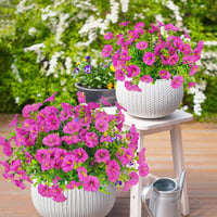 TINA Művirág 9 csomag UV-álló kültéri balkon dekoráció időjárásálló - 9 Bundles Fuchsia 7