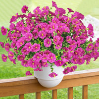 TINA Művirág 9 csomag UV-álló kültéri balkon dekoráció időjárásálló - 9 Bundles Fuchsia 3