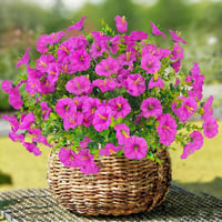 TINA Művirág 9 csomag UV-álló kültéri balkon dekoráció időjárásálló - 9 Bundles Fuchsia 1