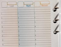 Rezerve Organizator Jurnal tipome - A6 Personal 10x17 cm - 52 de săptămâni - Agendă - Limba franceză 2