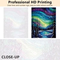 TISHIRON Polar Light Digital for Adults, Polar Light DIY Digital for Adults, Comics for Archnished Acrylic Pictures from Forest, Abstract Acrylic Picture for Adults, 16 x 20 cm (Colourless) 3