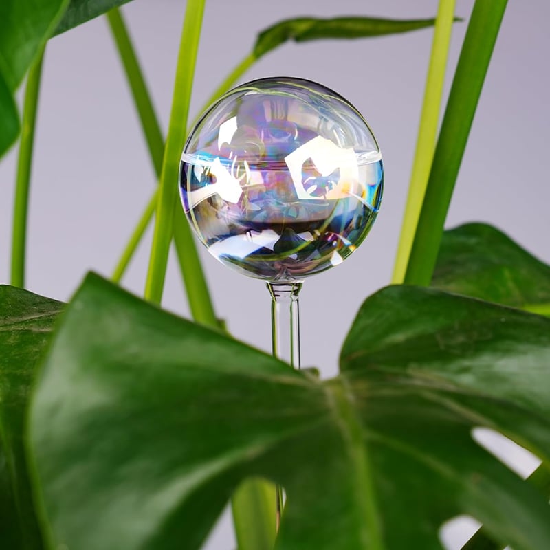 Tomorotec 4 db Öntöző Gömb Szivárványos Színátmenet Üveg Automatikus Növény Öntözőrendszer - Iridescent 4 Pack