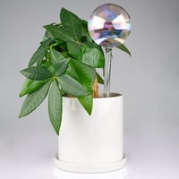 Tomorotec 4 db Öntöző Gömb Szivárványos Színátmenet Üveg Automatikus Növény Öntözőrendszer - Iridescent 4 Pack 6