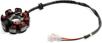 Topteng Stator Generátor Beta RR 125 200 250 300 X-Trainer 2T 2013-2023 7