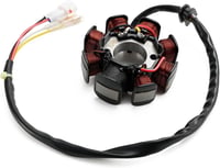 Topteng Stator Generátor Beta RR 125 200 250 300 X-Trainer 2T 2013-2023 3