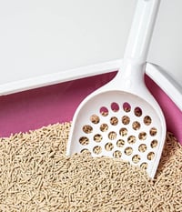 Așternut pentru pisici Tranquille Tofu aglomerant, ecologic, 4 litri - set de 8 bucăți 4