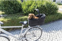 TRIXIE 13110 Long cyklistický košík pre psov na nosič, 29x49x60 cm, s kovovým rámom, polstrovaný, so sieťovaným krytom, max. 8 kg 4