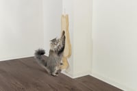 Trixie 43112 škrabadlo pre mačky - béžové - 35x69 cm 3