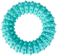 Inel dentar TRIXIE Denta Fun din cauciuc natural pentru câini, aromă de mentă, ø 12 cm, 1 buc. 2