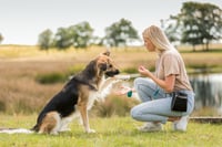 Trixie Denta Fun Spirulina štapići za žvakanje s govedinom, poslastica za njegu zubi bez glutena i šećera – 100 g 3
