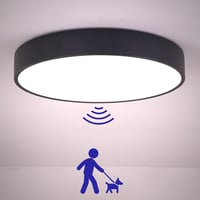 TRUYOK LED mennyezeti lámpa mozgásérzékelővel, kör alakú - fekete - 6000K hideg fehér 1