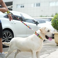 Lesă tactică pentru câini TSPRO, 66 cm, cu mâner căptușit, pentru câini de talie mare, albastru-roz 6
