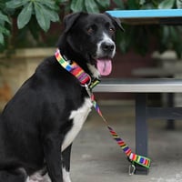 Lesă tactică pentru câini TSPRO, 66 cm, cu mâner căptușit, pentru câini de talie mare, albastru-roz 5