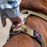 Prémiový taktický postroj pre psov TSPRO pre stredné a veľké plemená – veľkosť M, zelený – nastaviteľný, rýchloupínacia pracka, polstrovaná rukoväť, na prechádzky a turistiku 3