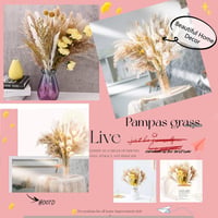 Tycons Pampas Grass 80 db Száraz Virág Dekoráció Boho Stílusú Lakáshoz 6